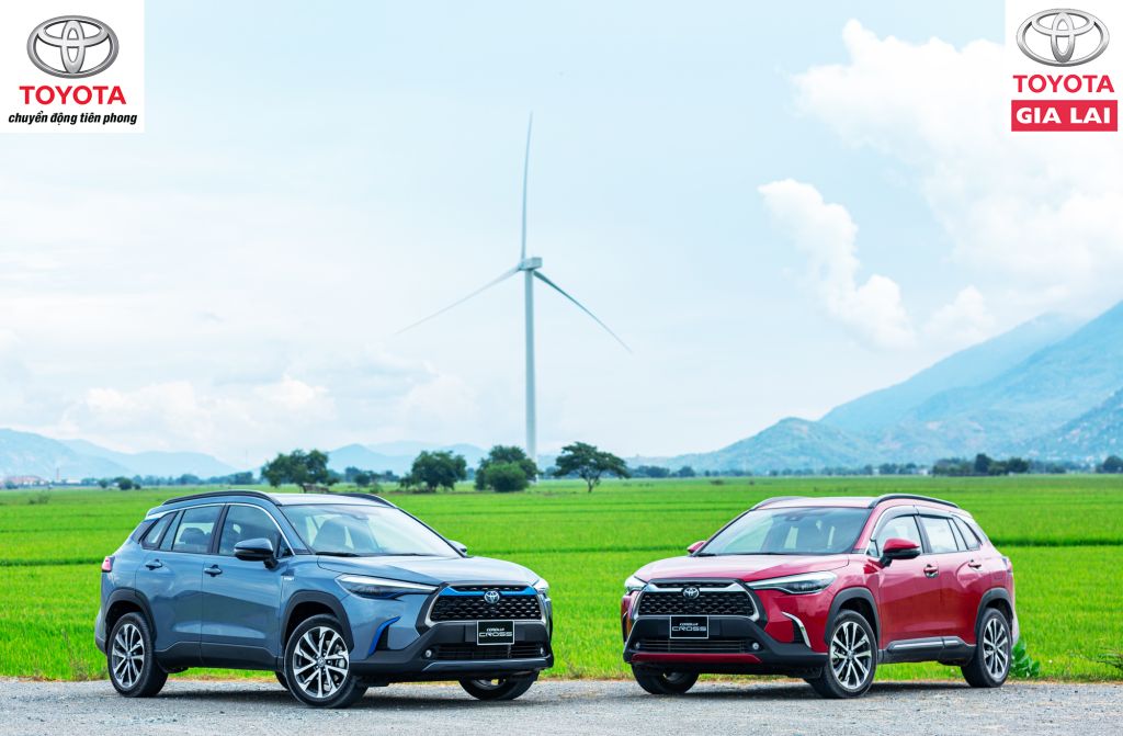 Khoang Sang Gam Cao Op Can Truoc Lon