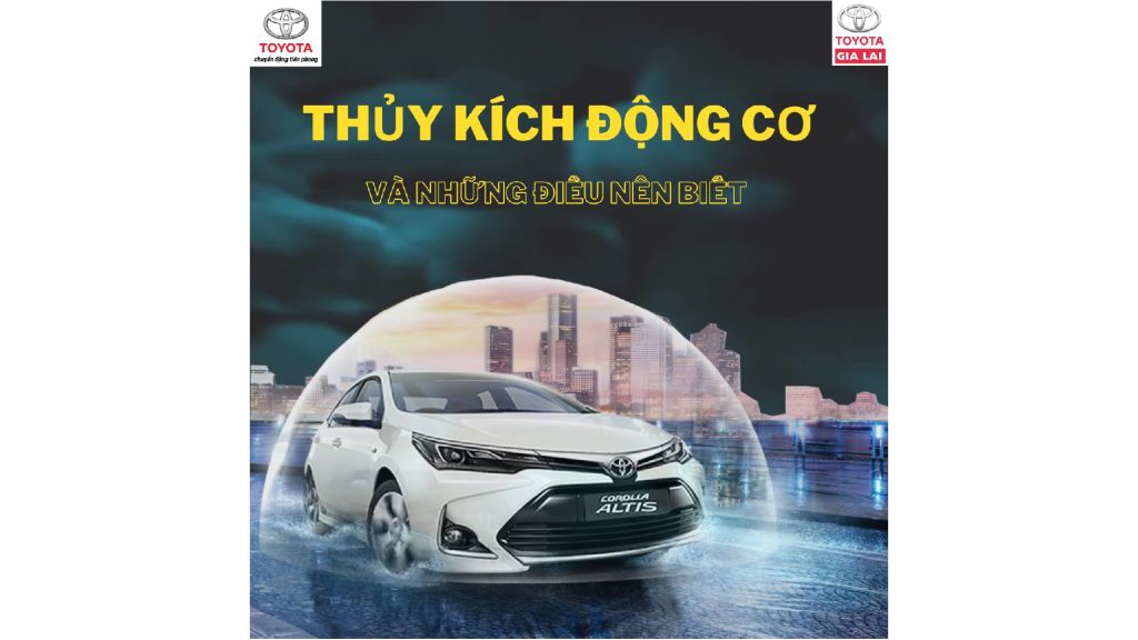 Thuy Kich Dong Co