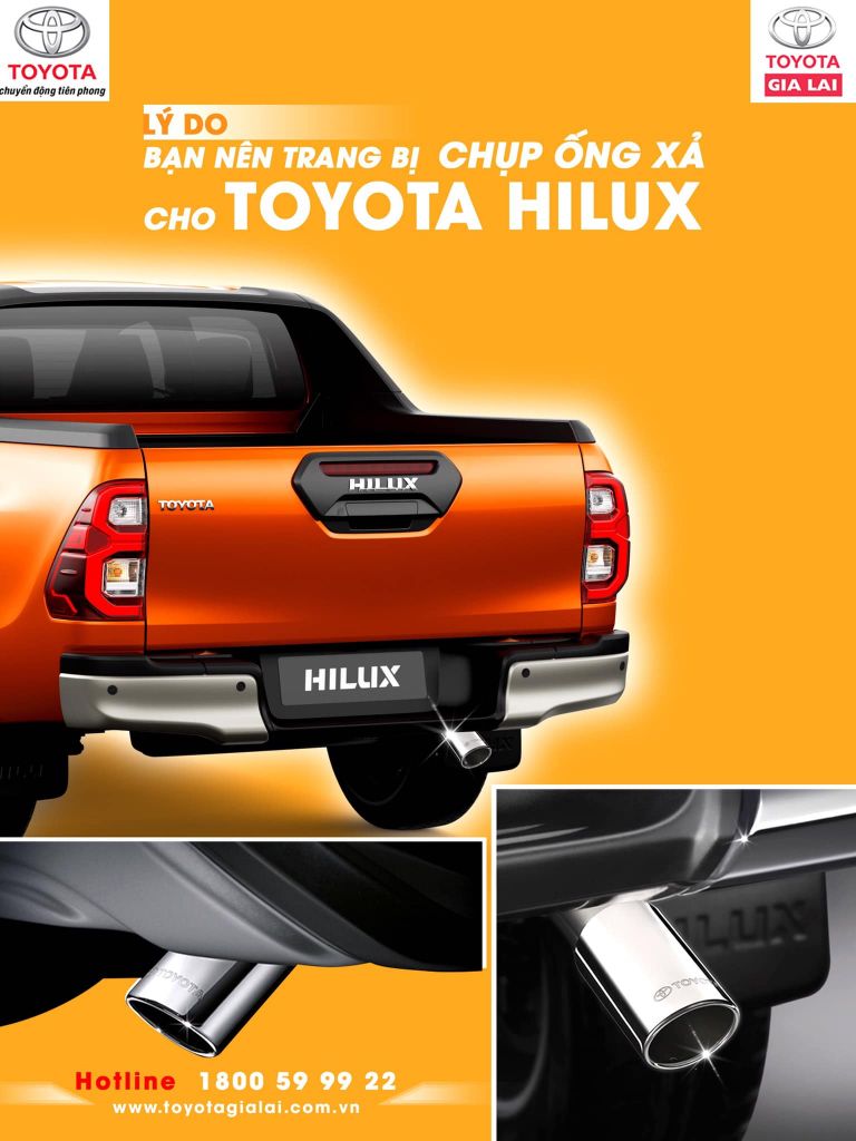 254471192 198673675749630 3978625653369190004 N