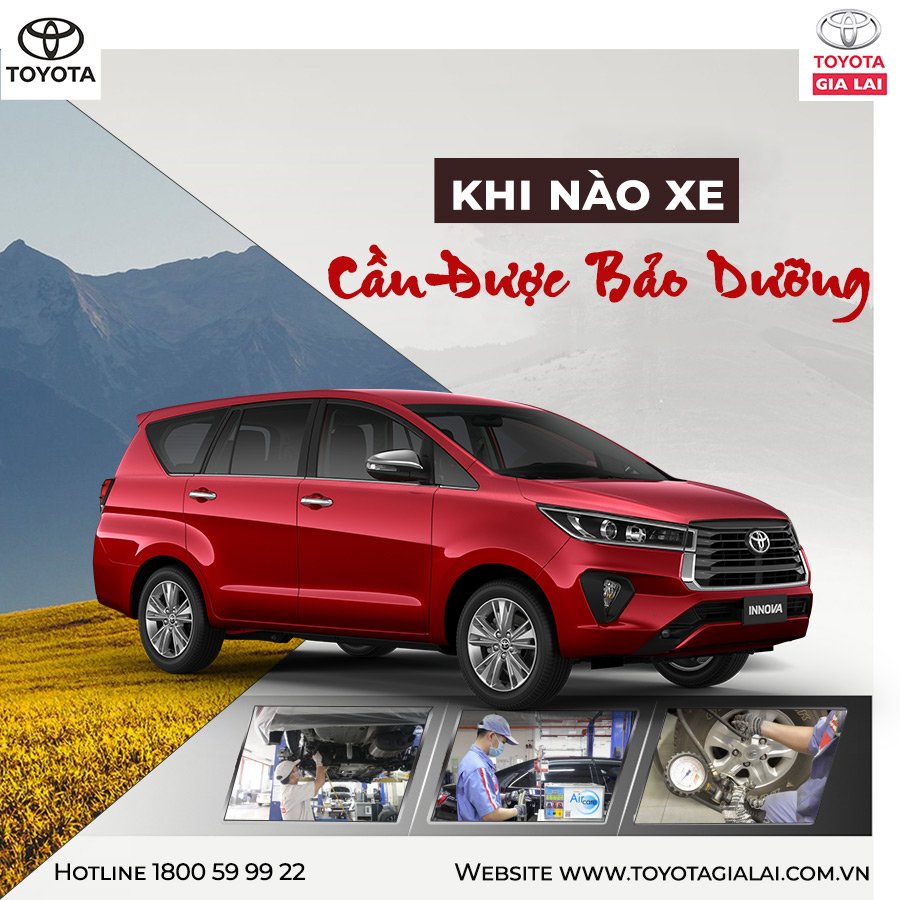 271902891 252061497070920 1661870921554782642 N