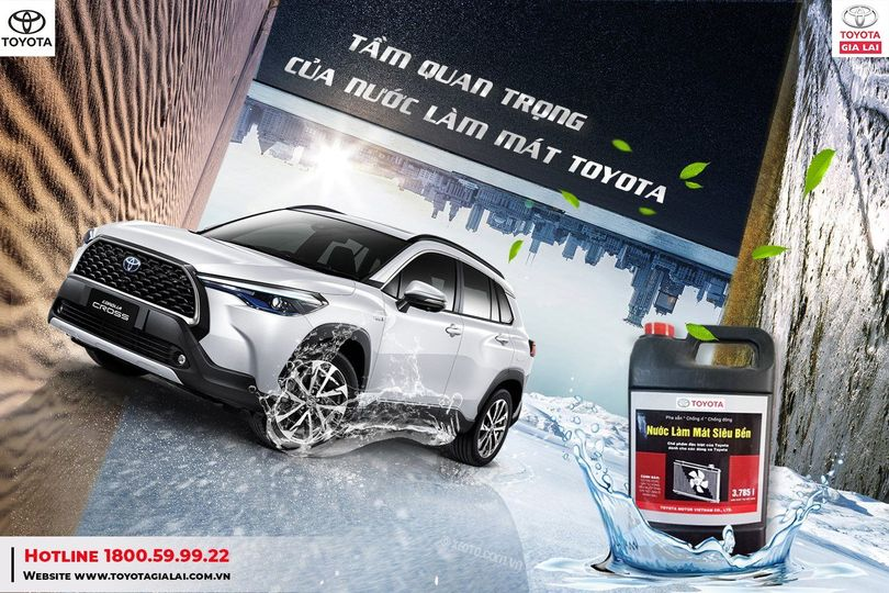 273489649 3190050254564768 6813630575677423438 N