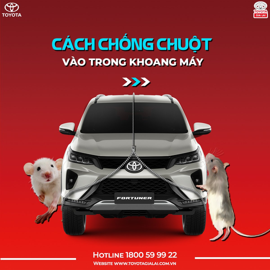 275664158 289060030037733 8948325587362043819 N