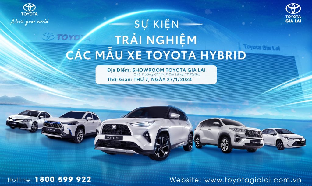 421130230 340542412153349 2517226331425877598 N