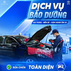 DỊch VỤ (8)